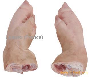 Front feet
