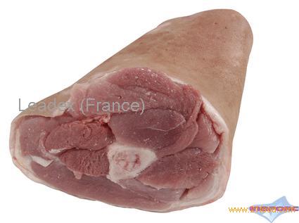 Front shank bone in