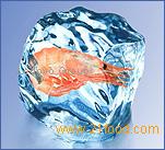 Mixtures with seafoods