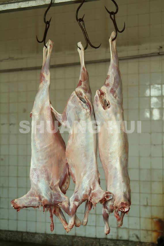 Frozen Lamb Carcass