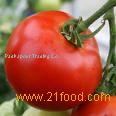 Sell Tomato Paste & Juice Concentrates
