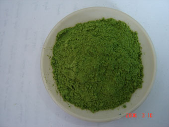 Wheat Grass Powder/ Extract Juice Powder