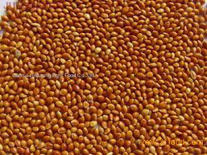 yellow/ white/ yellow-white/ red millet