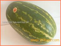 WATERMELONS