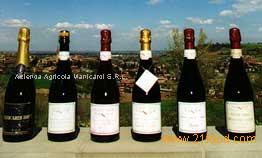 wines