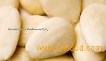 Blanched almond