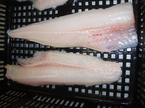 Sea Frozen HGT Pacific Hake