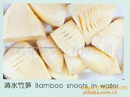 Supply Winer Bamboo shoot
