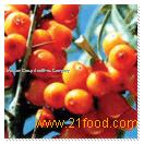 Seabucthorn Seed Oil