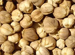 White cardamom