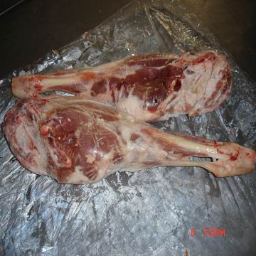 Lamb leg
