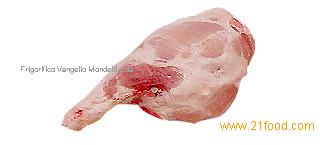Hind Leg