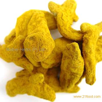 Curcuma Longa