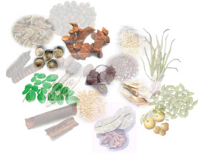 Herbs and Spices
