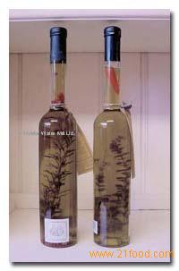 AROMATIC EXTRA VIRGIN OLIVE OILS