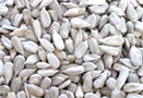 Sunflower kernels