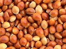 millet