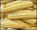 Sweet corn