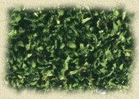 OREGANO