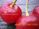 Sell Sour Cherry juice Concentrate
