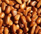 Pine Nut Oil