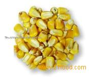 Feed Corn