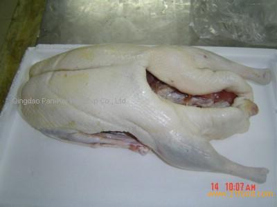 Frozen Whole Goose