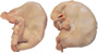 Pork Stomach