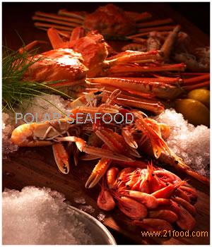 Snow Crab