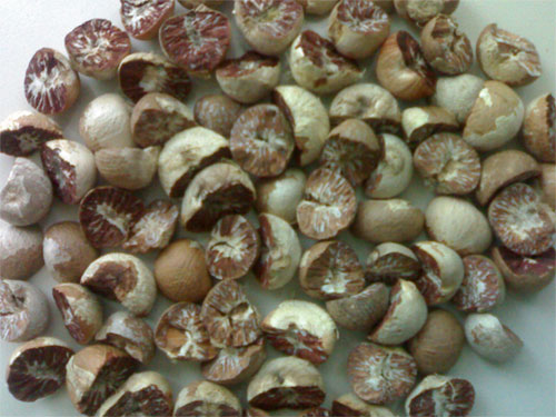 Split Betel Nut