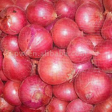 Onions