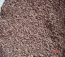 Coriander whole seeds