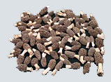 dried Morel
