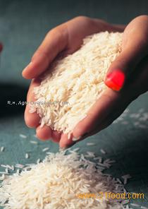 LENGTH OF THE GRAIN
