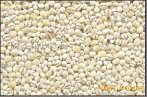Pearl Barley