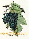 grape
