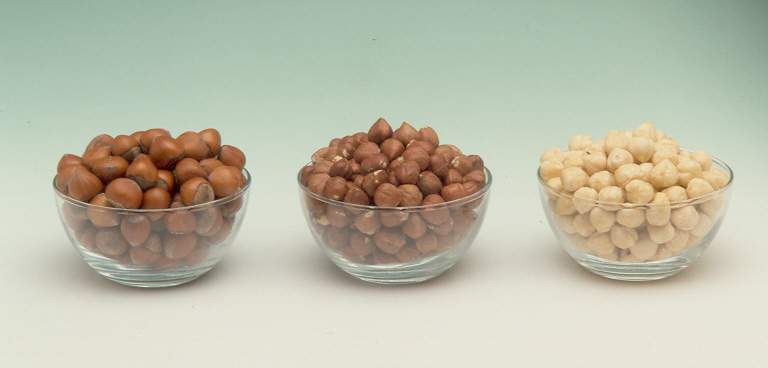 Hazelnut Qualite Levant - Ordu / Giresun