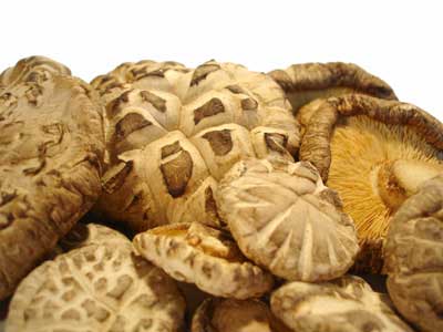 shiitake