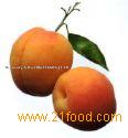 Apricot Puree
