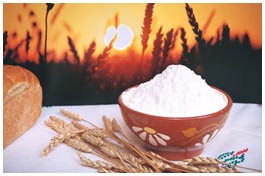 Wheat Flour
