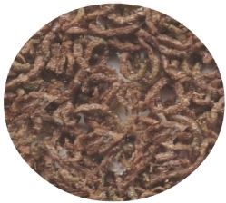 Freeze Dried Large Blood Worm
