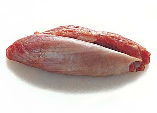 Shank