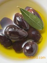 Olive Oil