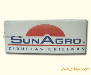 Pitted Prunes Packed in Cartons of 10 Kn
