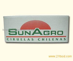 Unpitted Prunes Packed in Cartons of 10 Kn