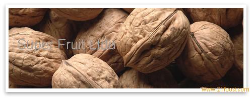IN SHELL WALNUTS