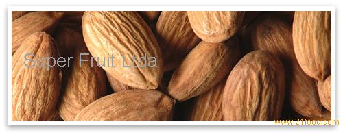 SHELLED ALMONDS