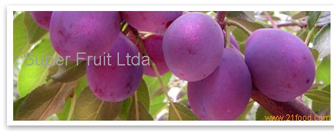UNPITTED PRUNES
