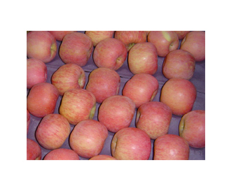 apple,pear,chinese goosebeery
