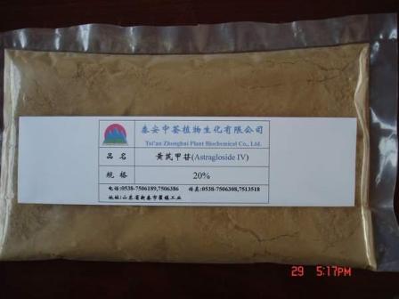 Sell Astragalus Plant Extract